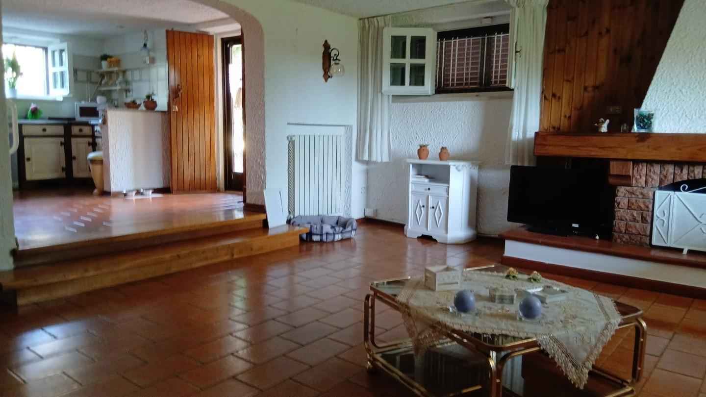 Immagine 5 di Villa in vendita  a Vecchiano