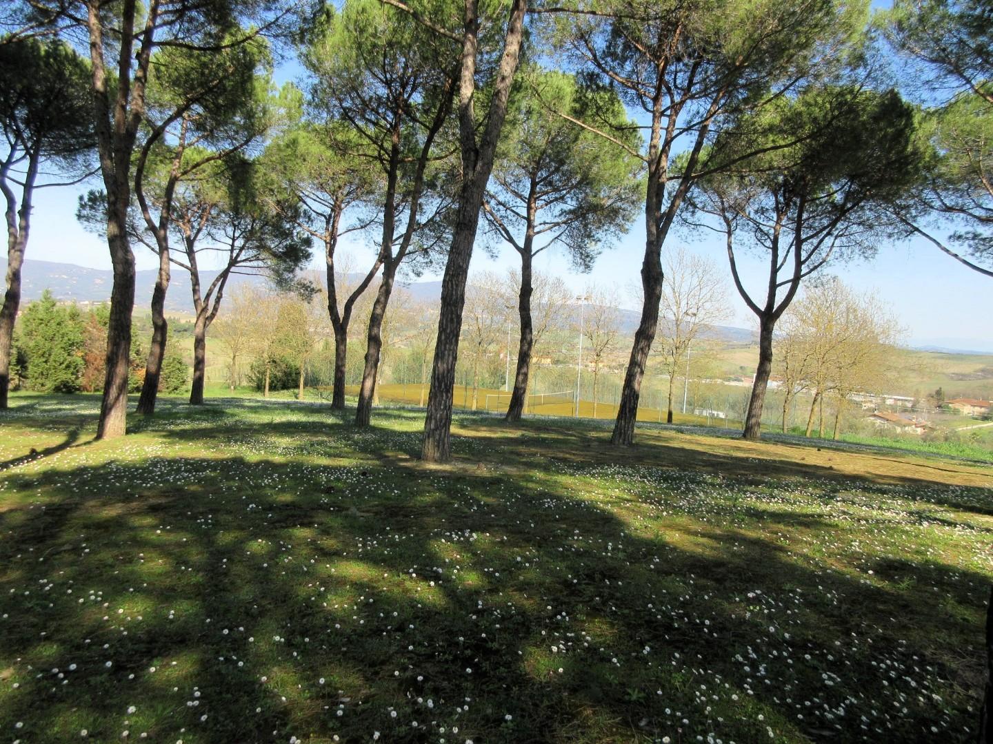 Immagine 22 di Villa in vendita  a Cerreto Guidi