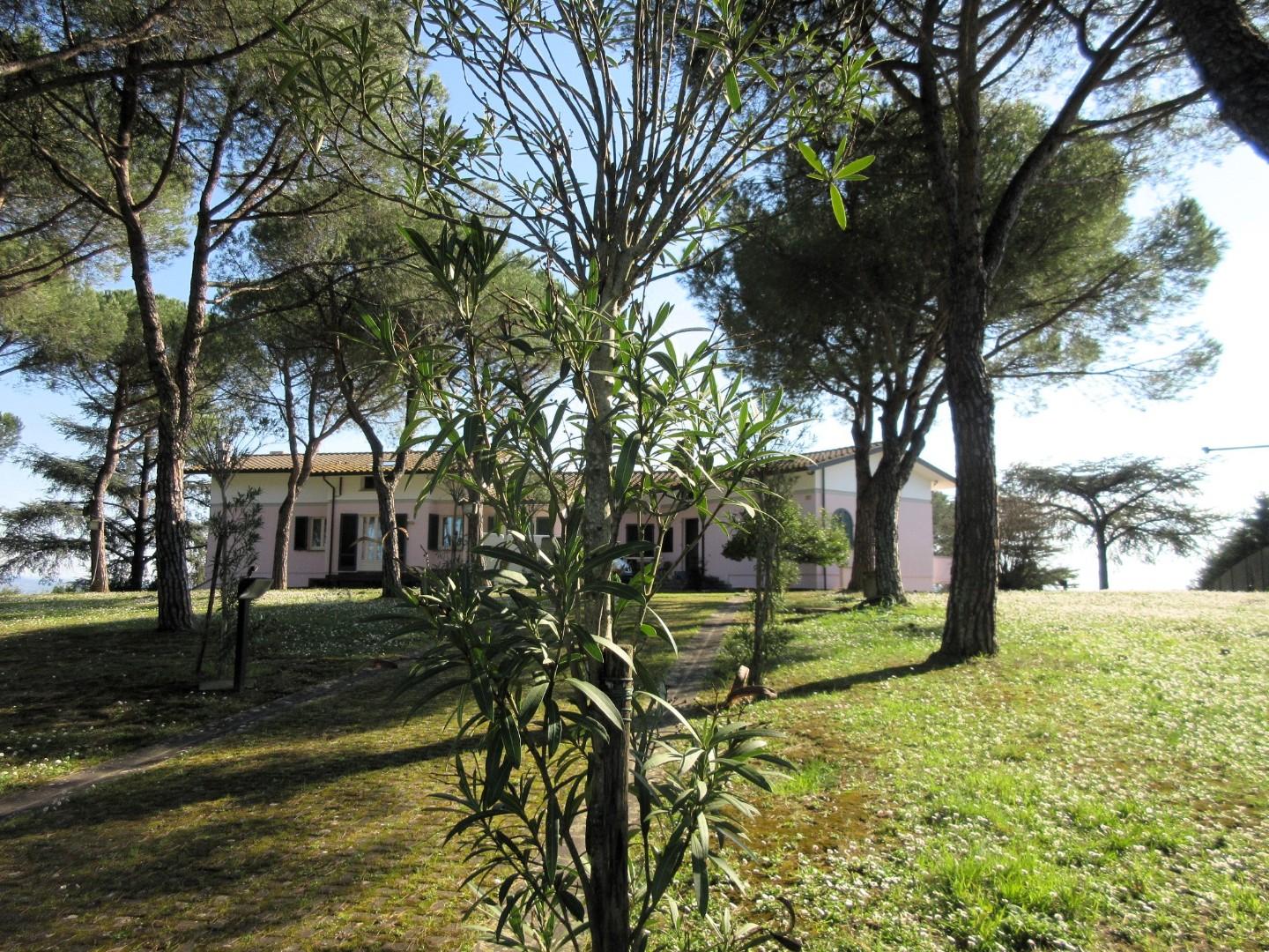 Immagine 20 di Villa in vendita  a Cerreto Guidi