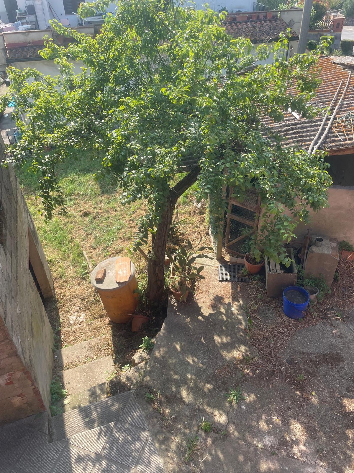 Immagine 2 di Casa indipendente in vendita  a Montopoli In Val D'arno