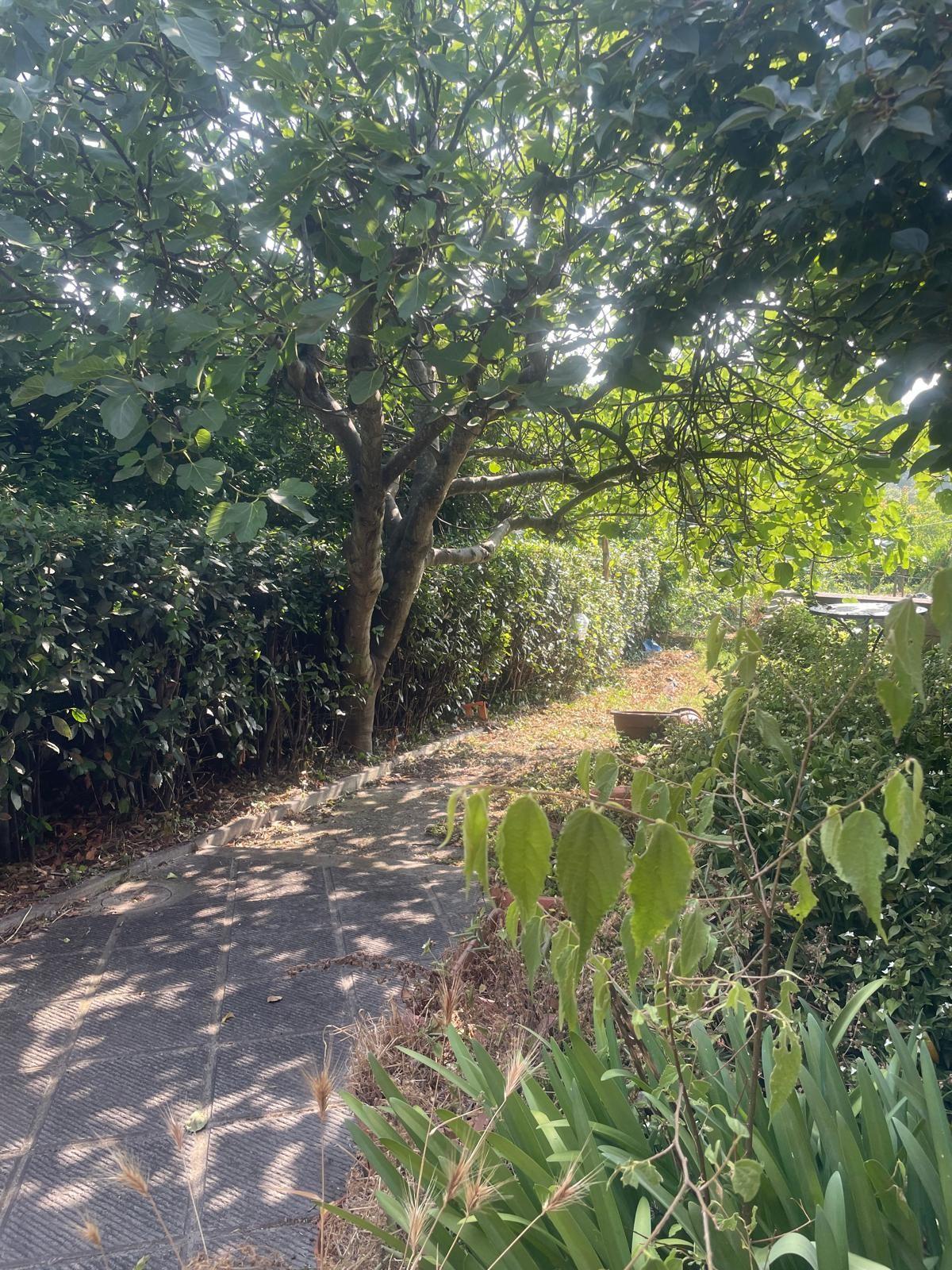 Immagine 3 di Casa indipendente in vendita  a Montopoli In Val D'arno