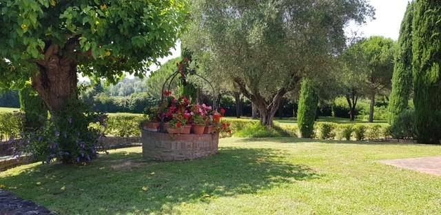 Immagine 6 di Rustico / casale in vendita  a Lucca