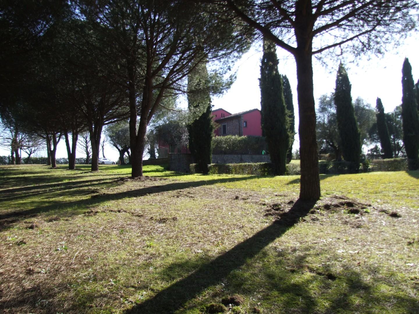 Immagine 7 di Rustico / casale in vendita  a Lucca