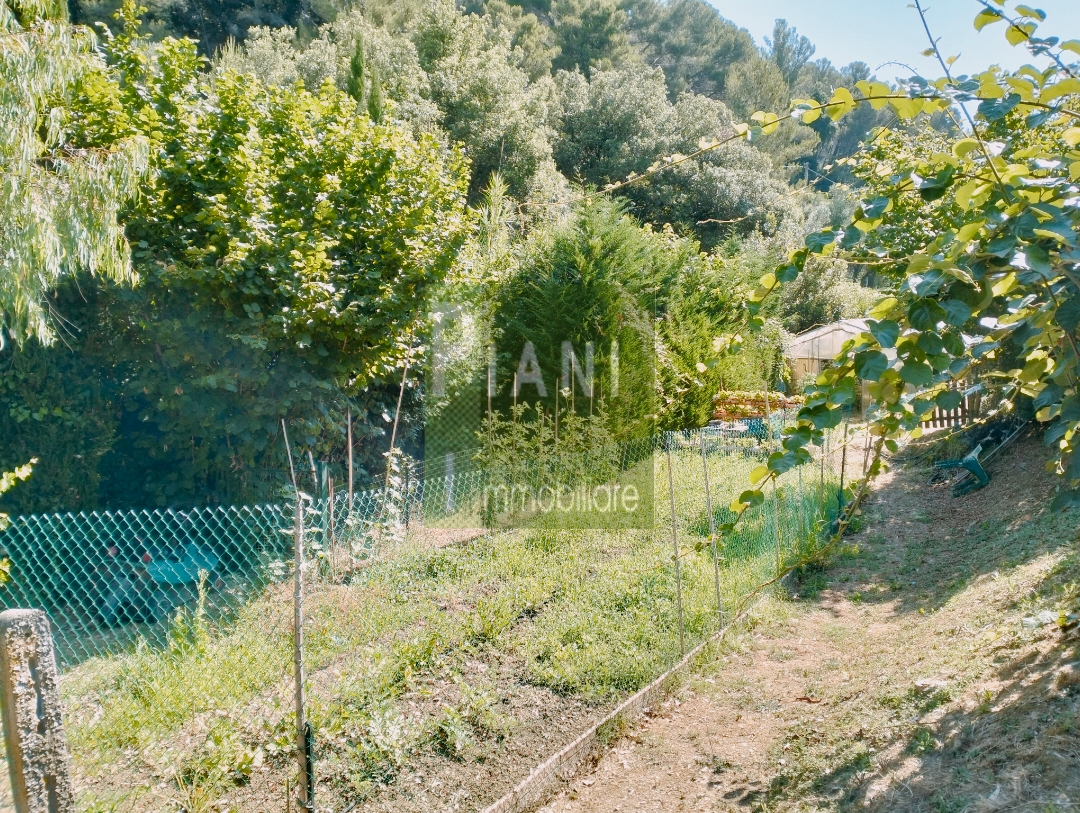 Immagine 3 di Terreno agricolo in vendita  a Livorno