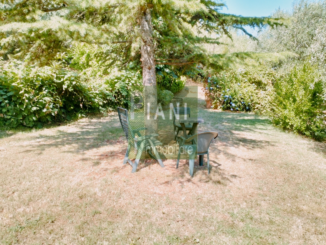 Immagine 8 di Terreno agricolo in vendita  a Livorno