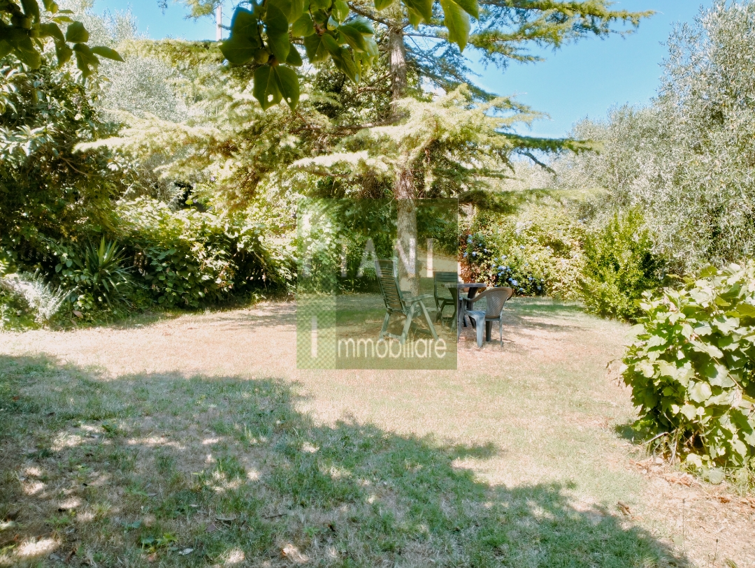 Immagine 7 di Terreno agricolo in vendita  a Livorno