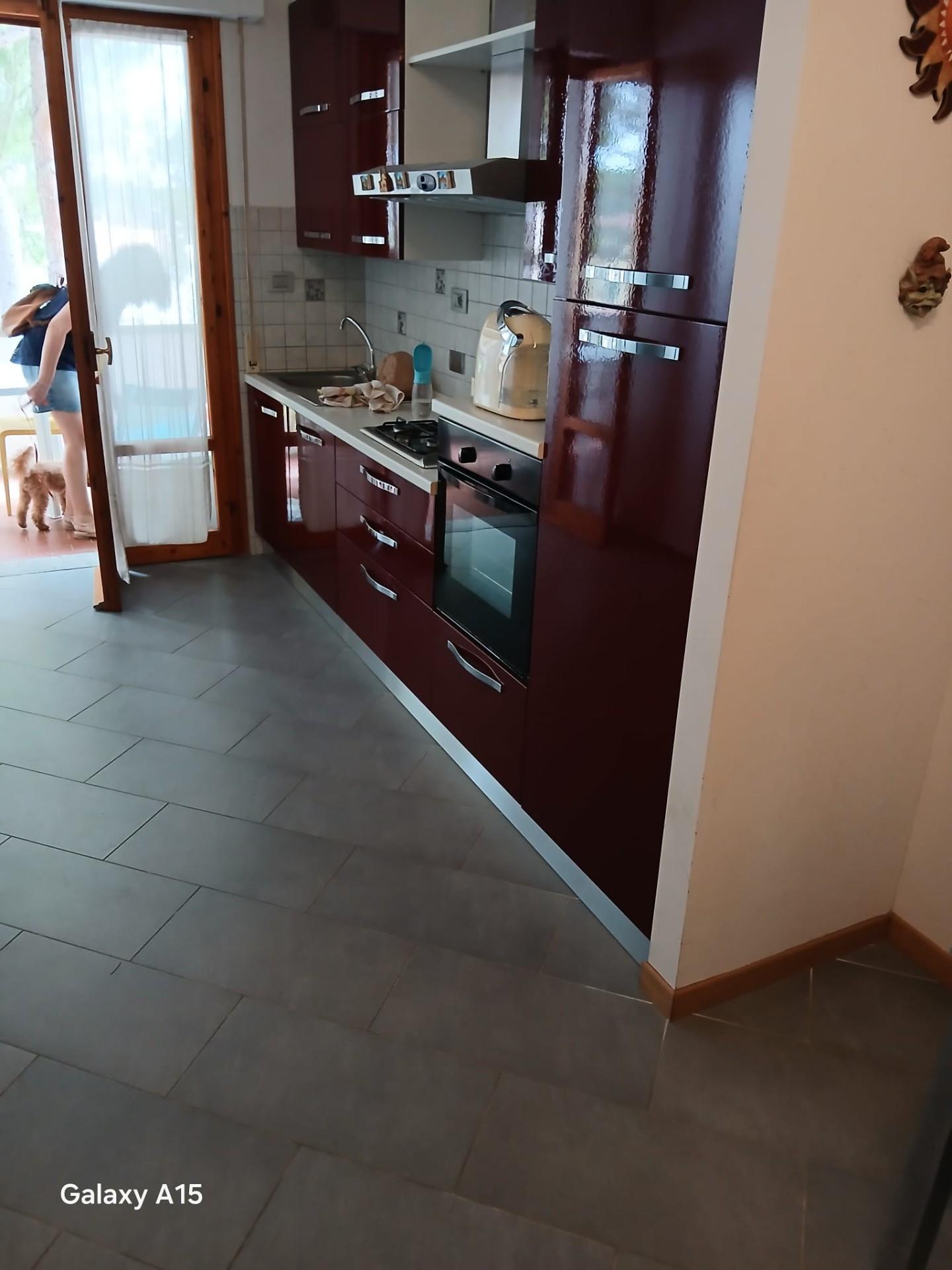 Immagine 1 di Appartamento in vendita  a Rosignano Marittimo