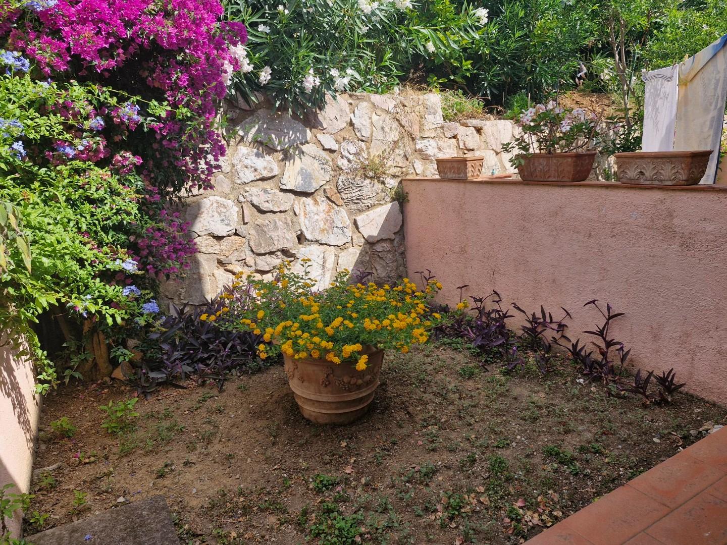 Foto annuncio 20
