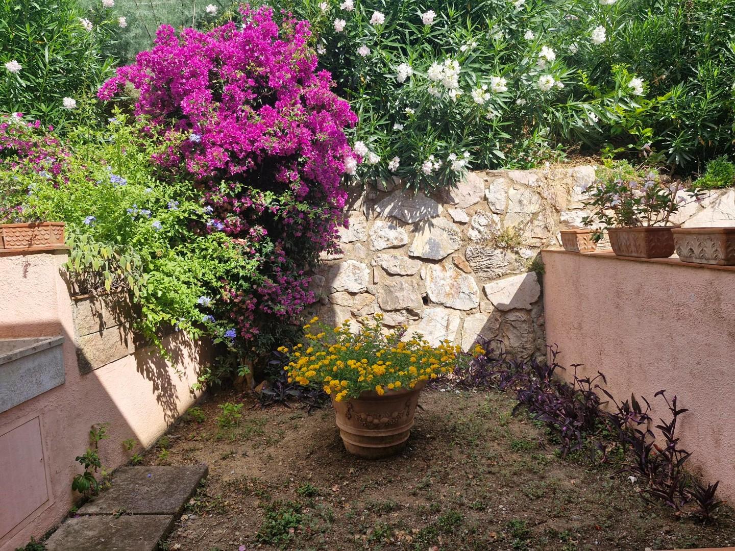 Foto annuncio 18