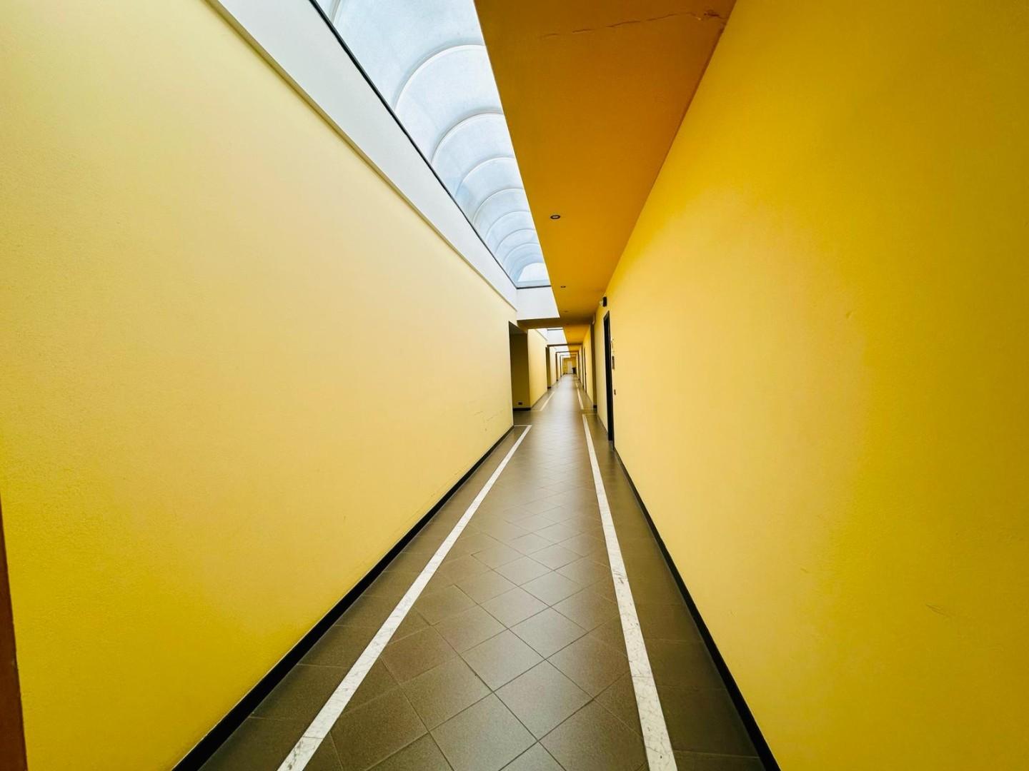 Immagine 8 di Ufficio in vendita  a Capannori