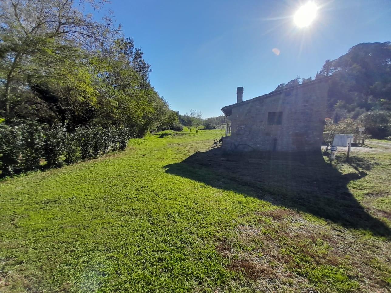 Immagine 5 di Rustico / casale in vendita  a Montaione