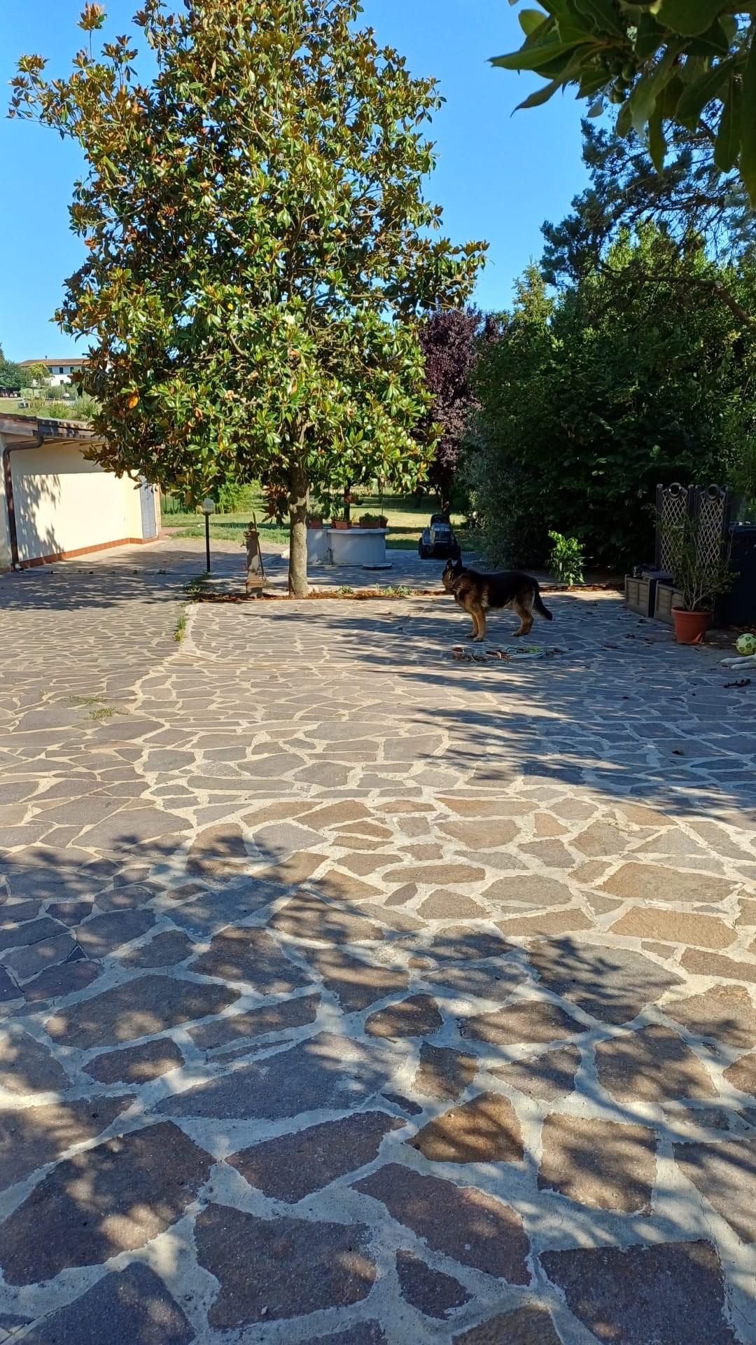 Foto annuncio 3