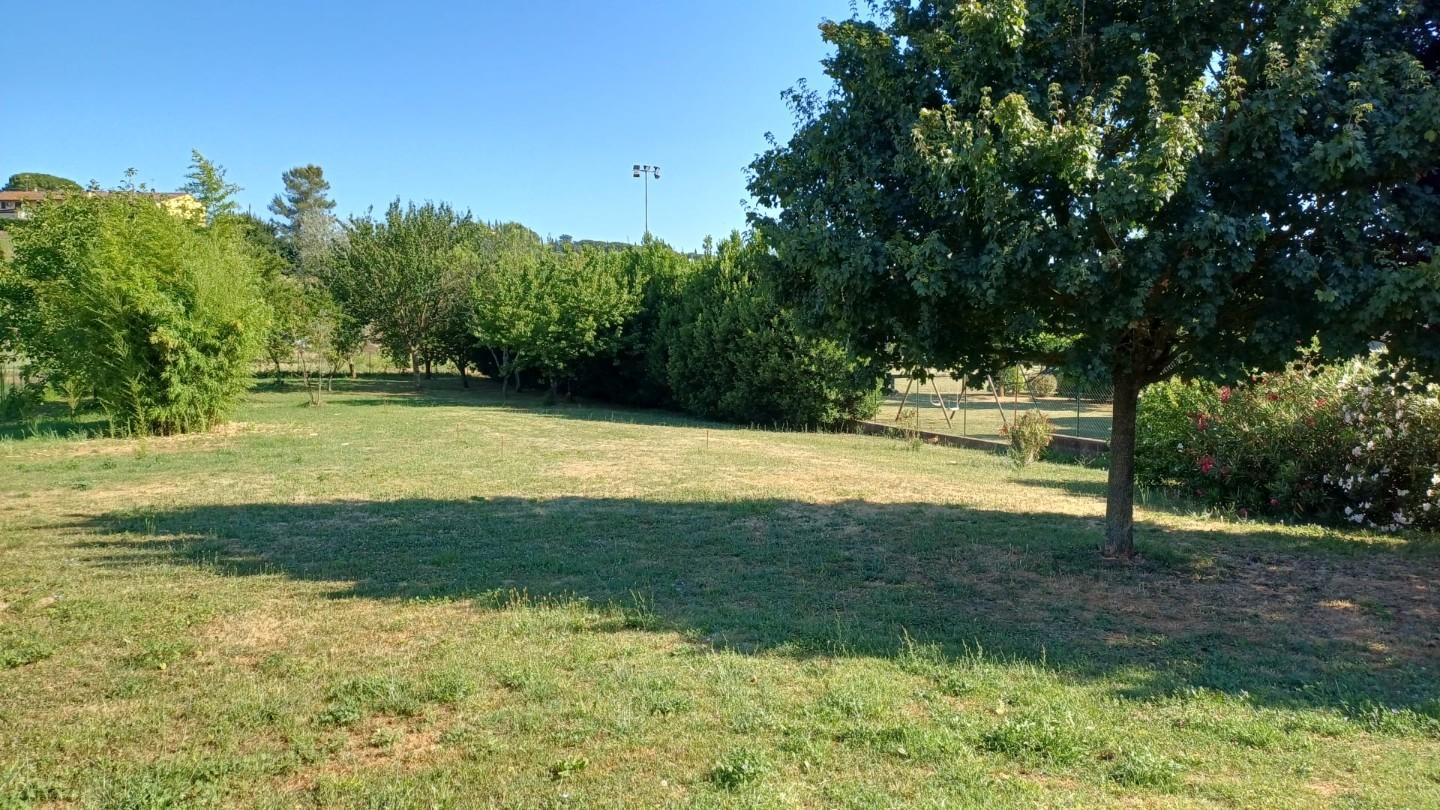 Foto annuncio 6