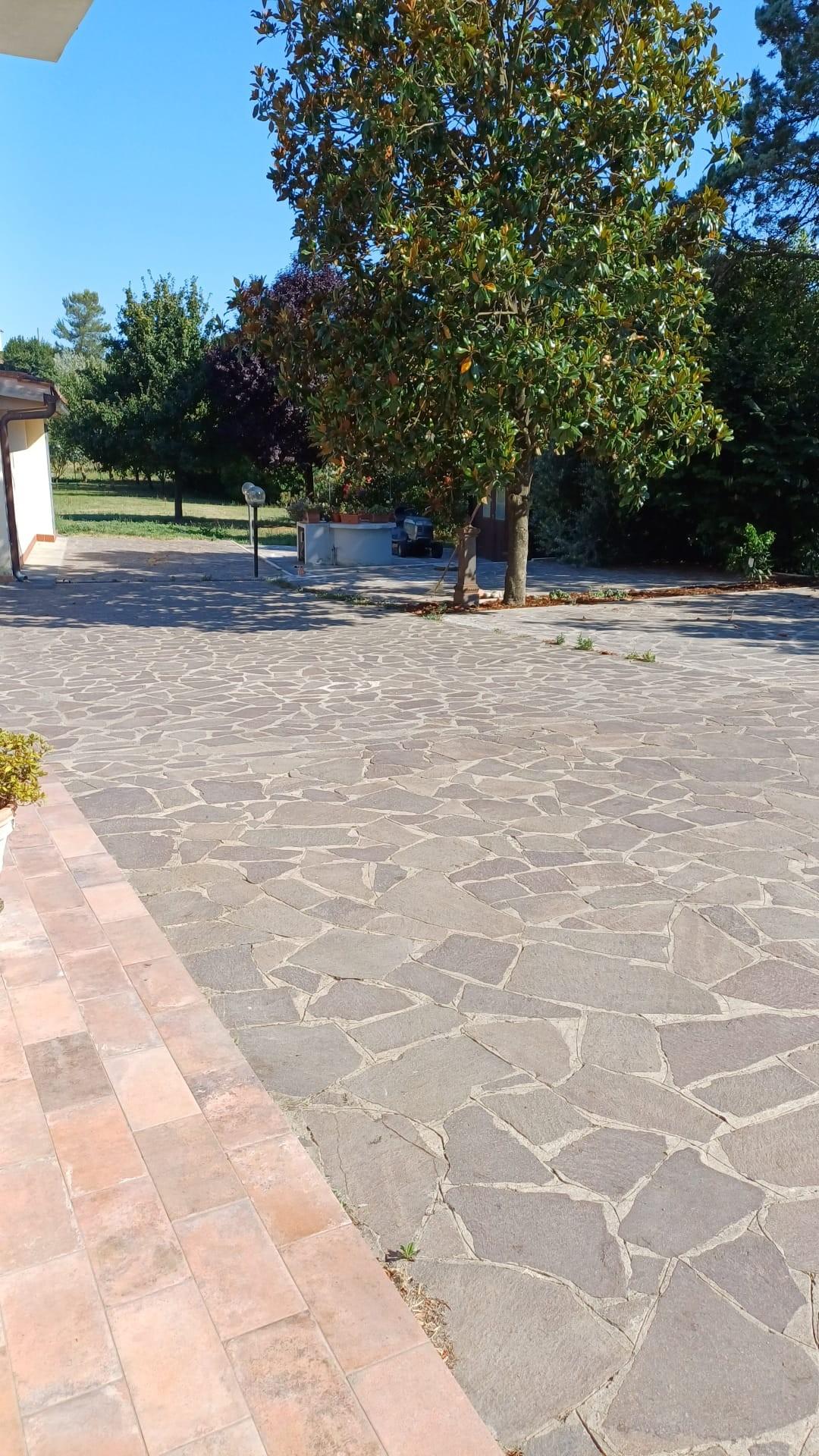 Foto annuncio 4