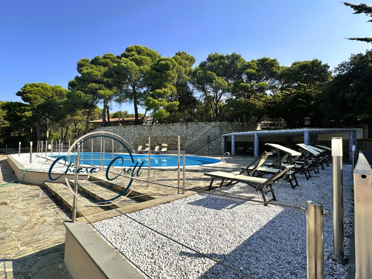 Immagine 8 di Appartamento in vendita  a Livorno