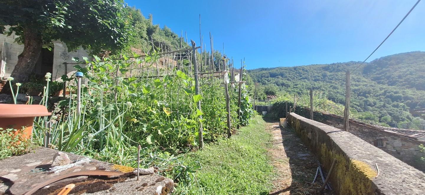 Foto annuncio 10