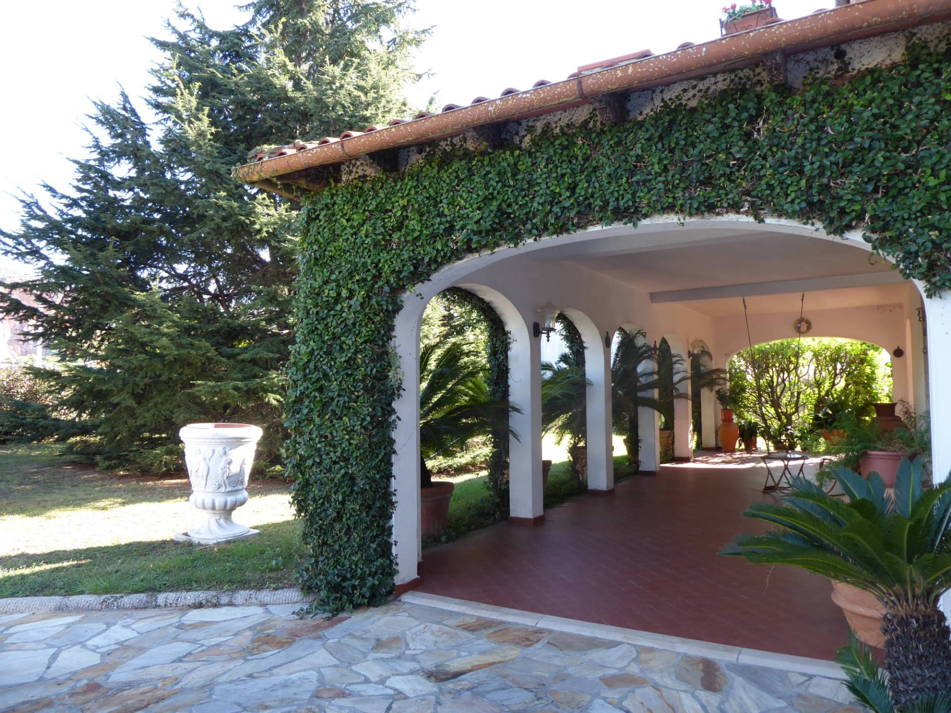 Immagine 8 di Villa in vendita  a Vecchiano