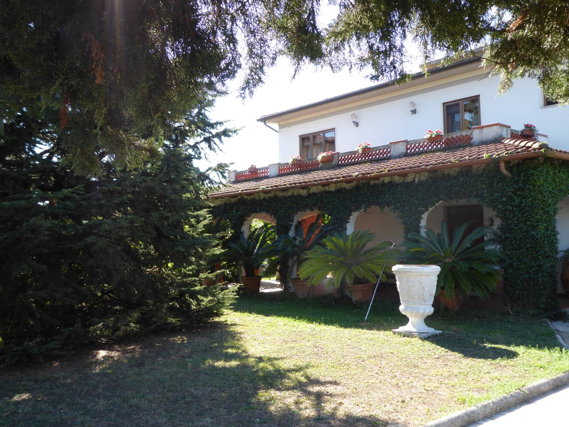 Immagine 3 di Villa in vendita  a Vecchiano
