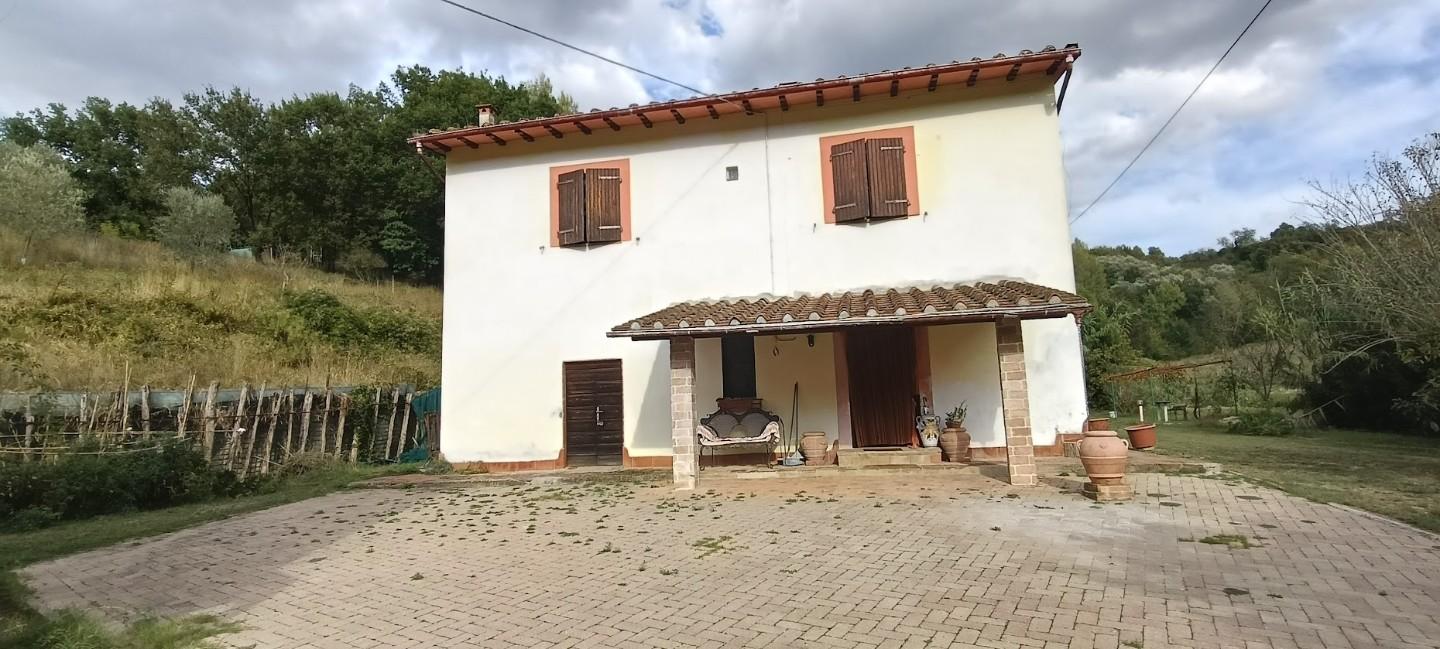Foto annuncio 26
