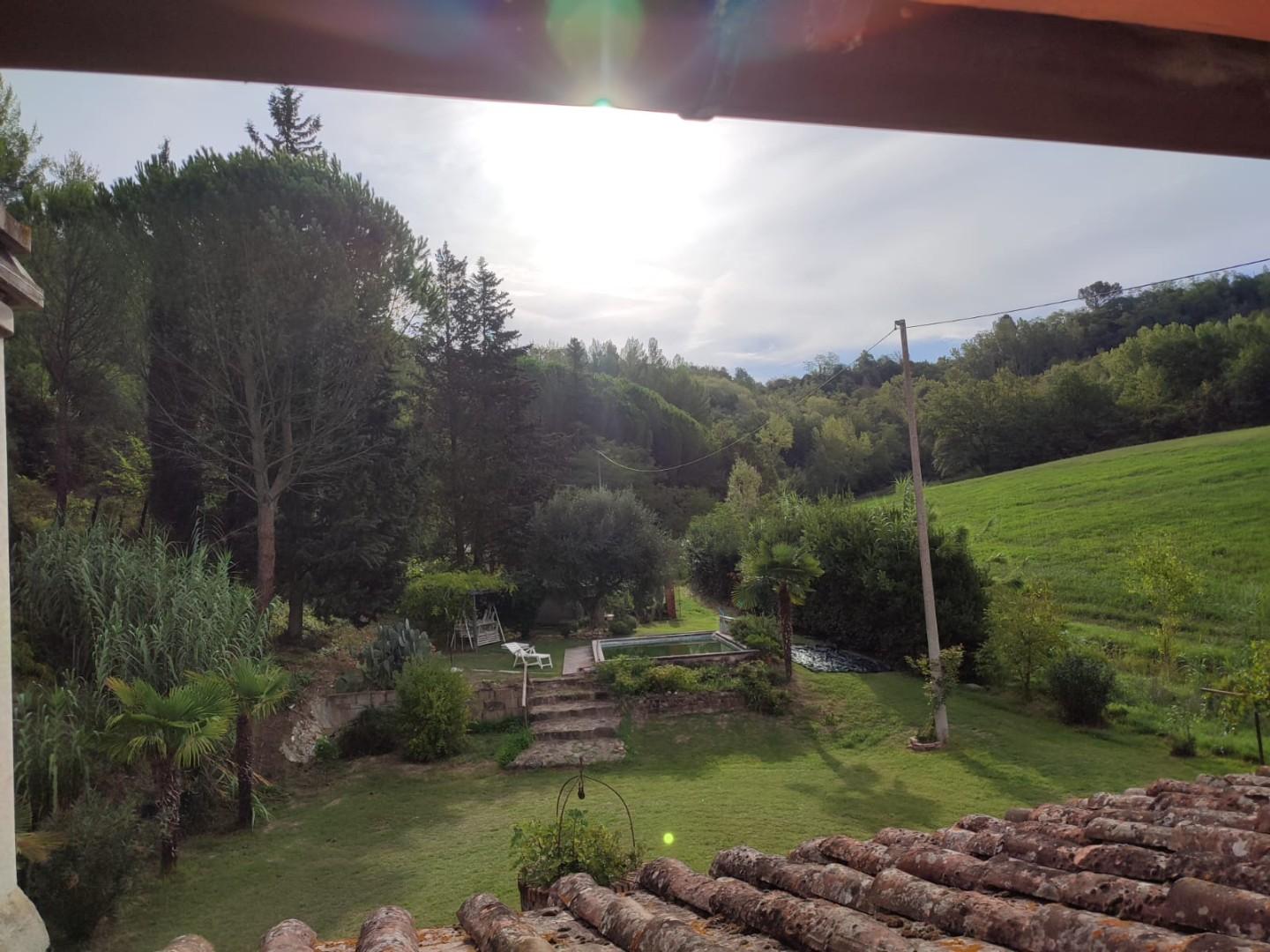 Foto annuncio 45