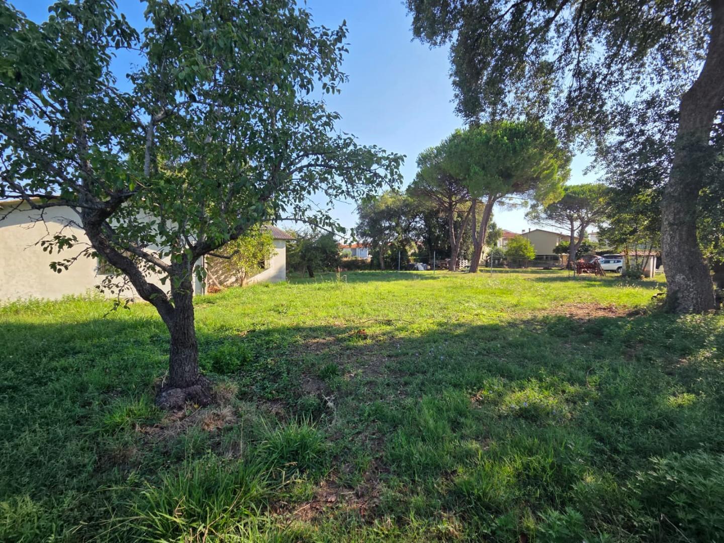 Immagine 15 di Casa indipendente in vendita  a Collesalvetti