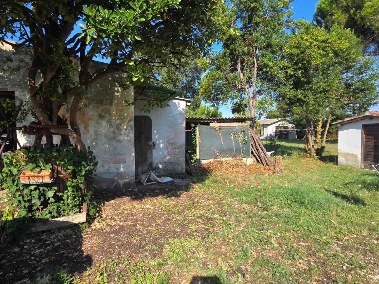 Immagine 17 di Casa indipendente in vendita  a Collesalvetti