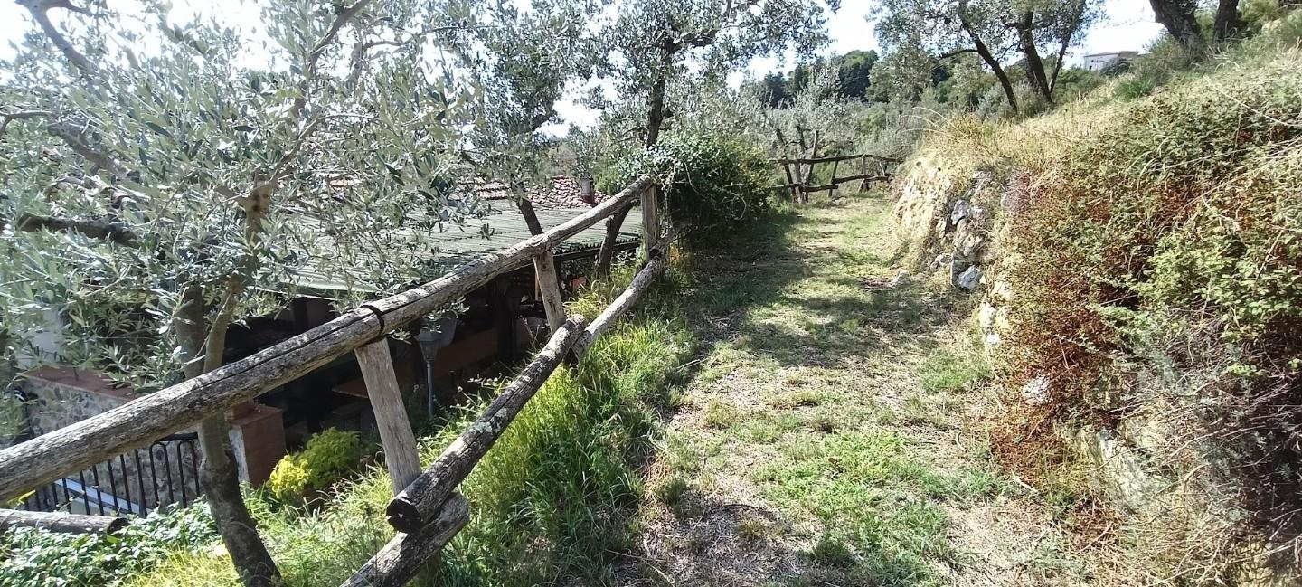 Foto annuncio 11