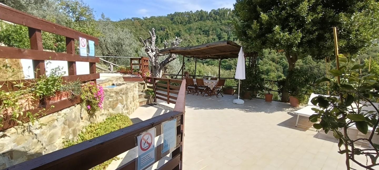 Foto annuncio 5