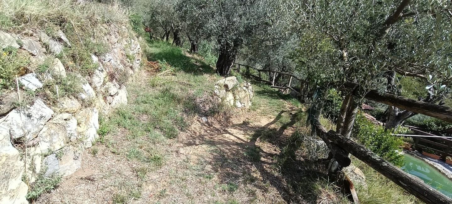 Foto annuncio 10