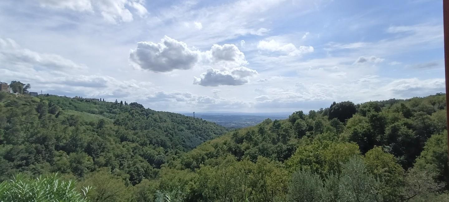 Foto annuncio 48