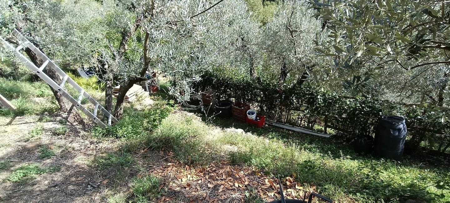 Foto annuncio 12