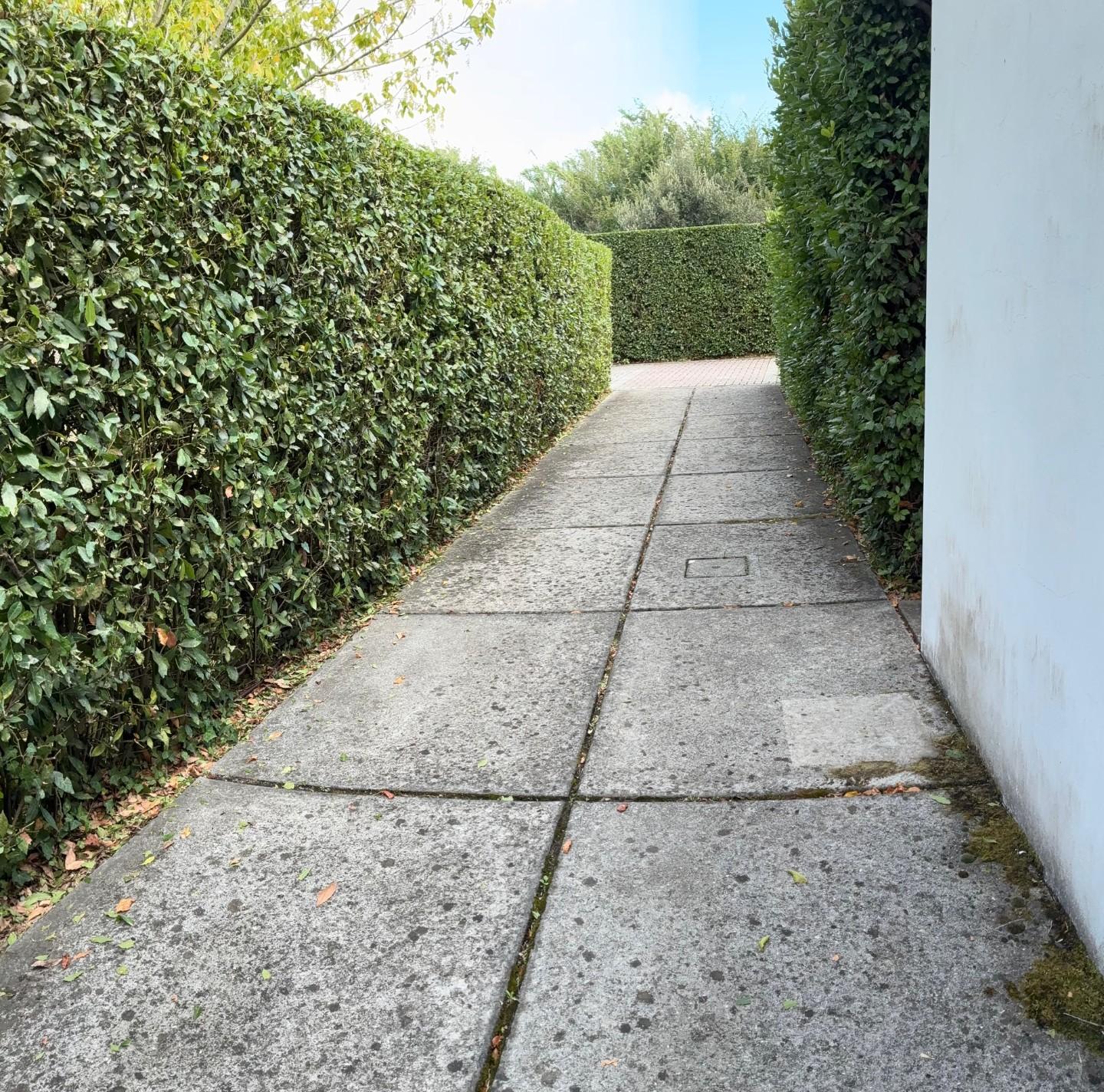 Immagine 19 di Appartamento in affitto  a San Giuliano Terme