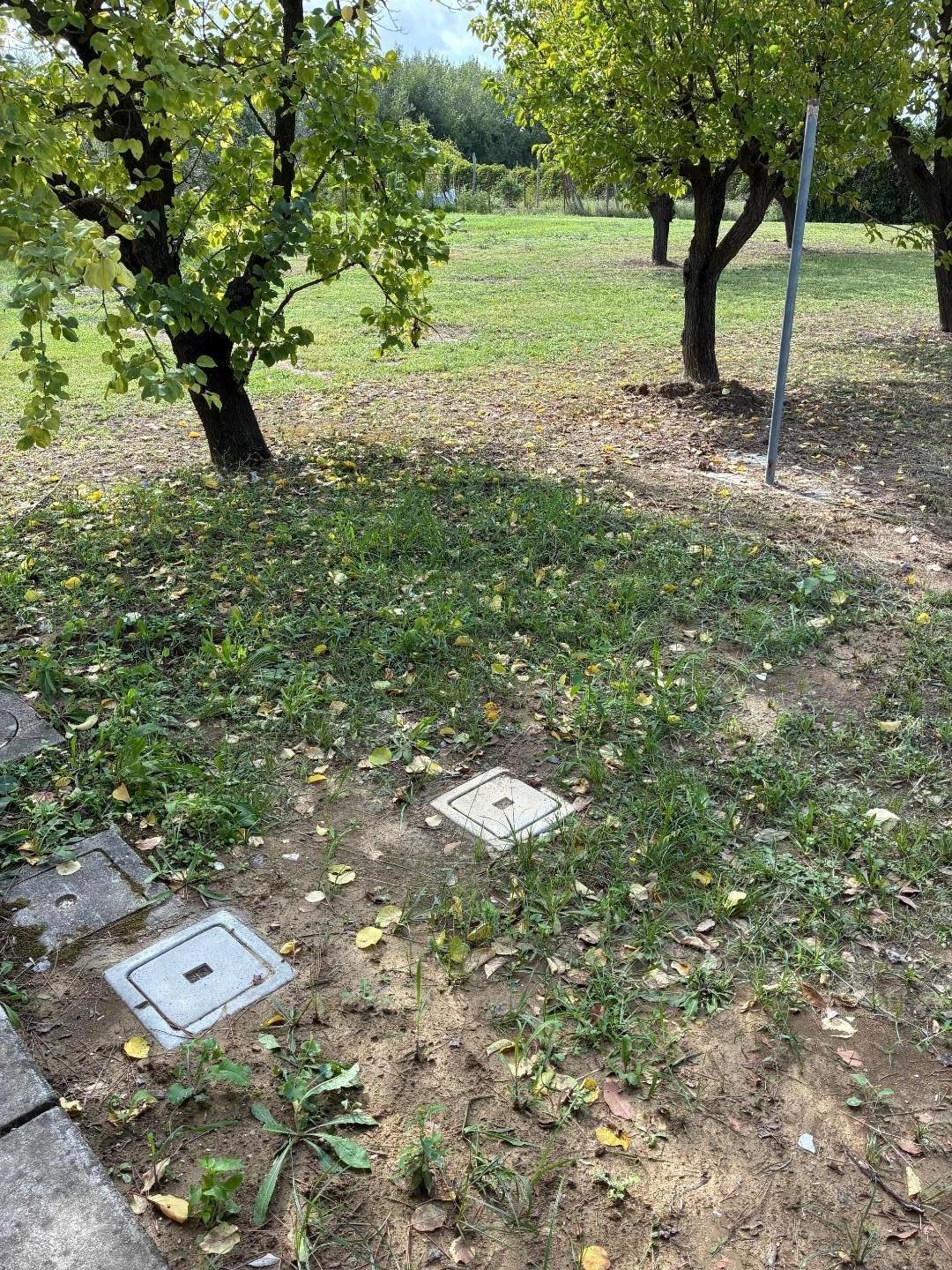 Immagine 1 di Appartamento in affitto  a San Giuliano Terme