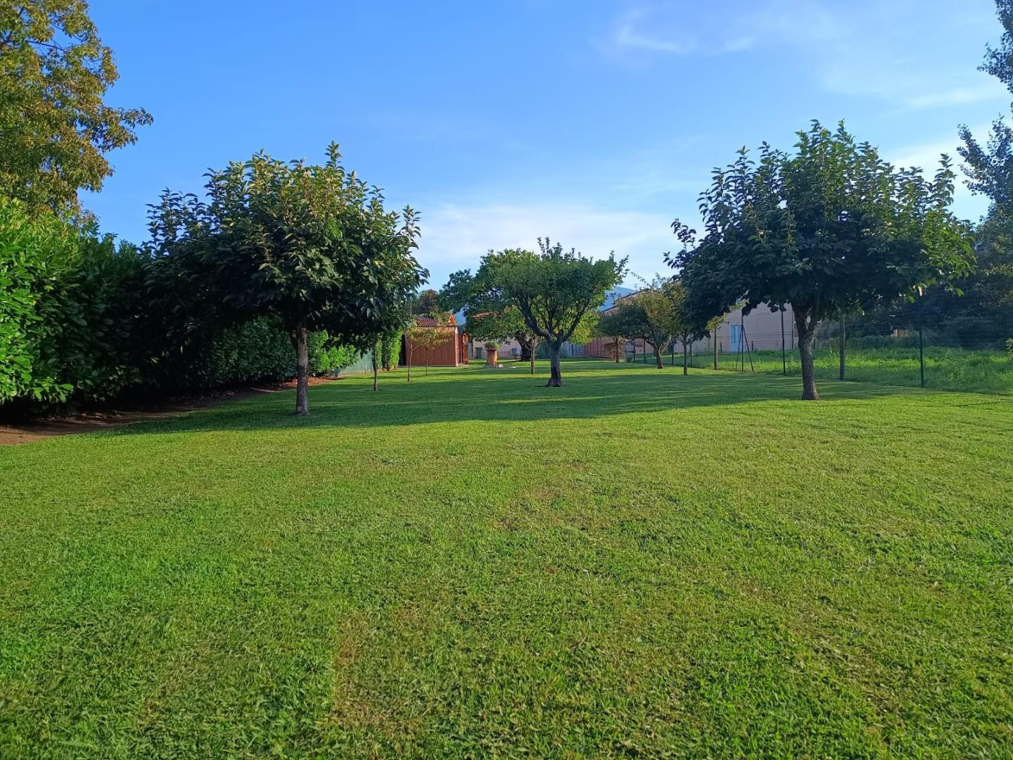 Immagine 72 di Villa in vendita  a Capannori