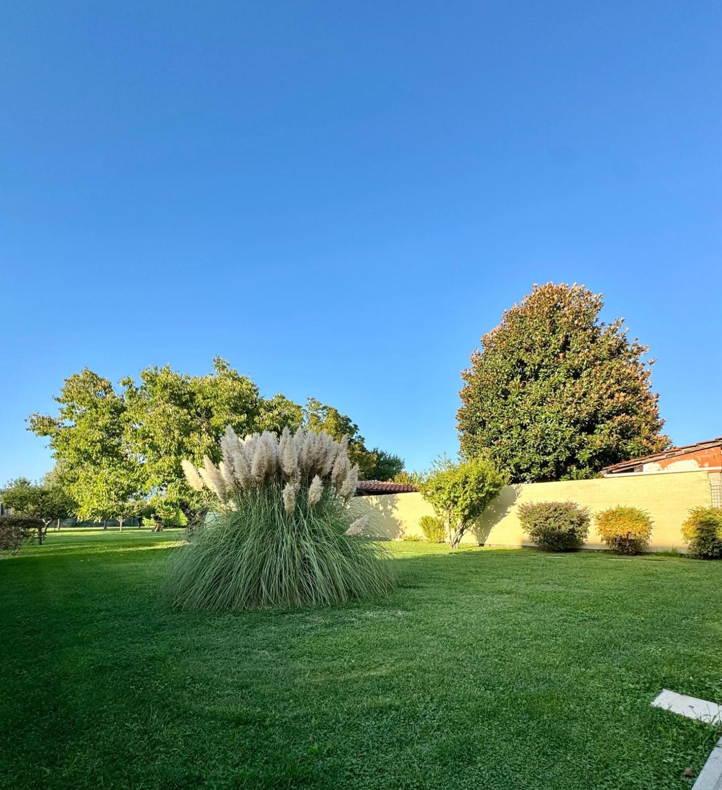 Immagine 65 di Villa in vendita  a Capannori