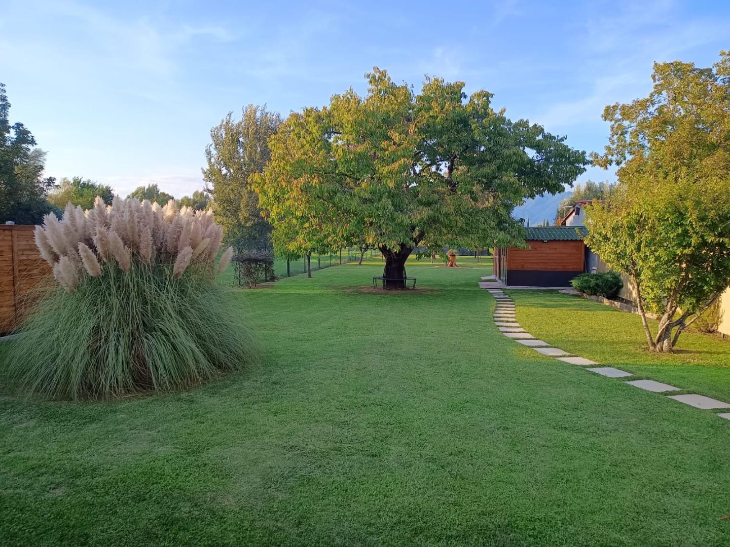 Immagine 17 di Villa in vendita  a Capannori