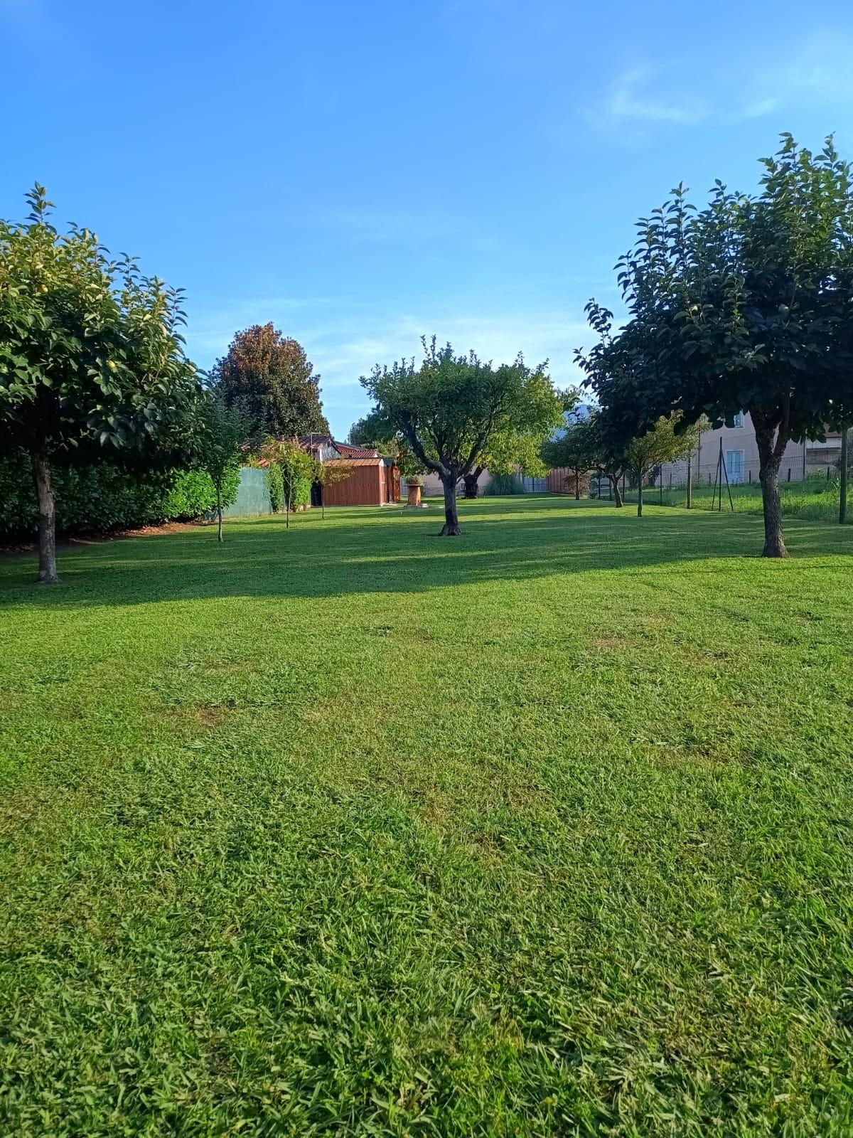 Immagine 33 di Villa in vendita  a Capannori