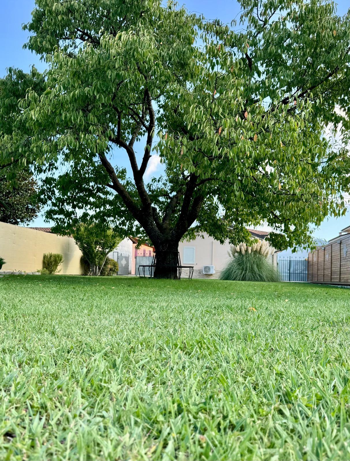 Immagine 25 di Villa in vendita  a Capannori