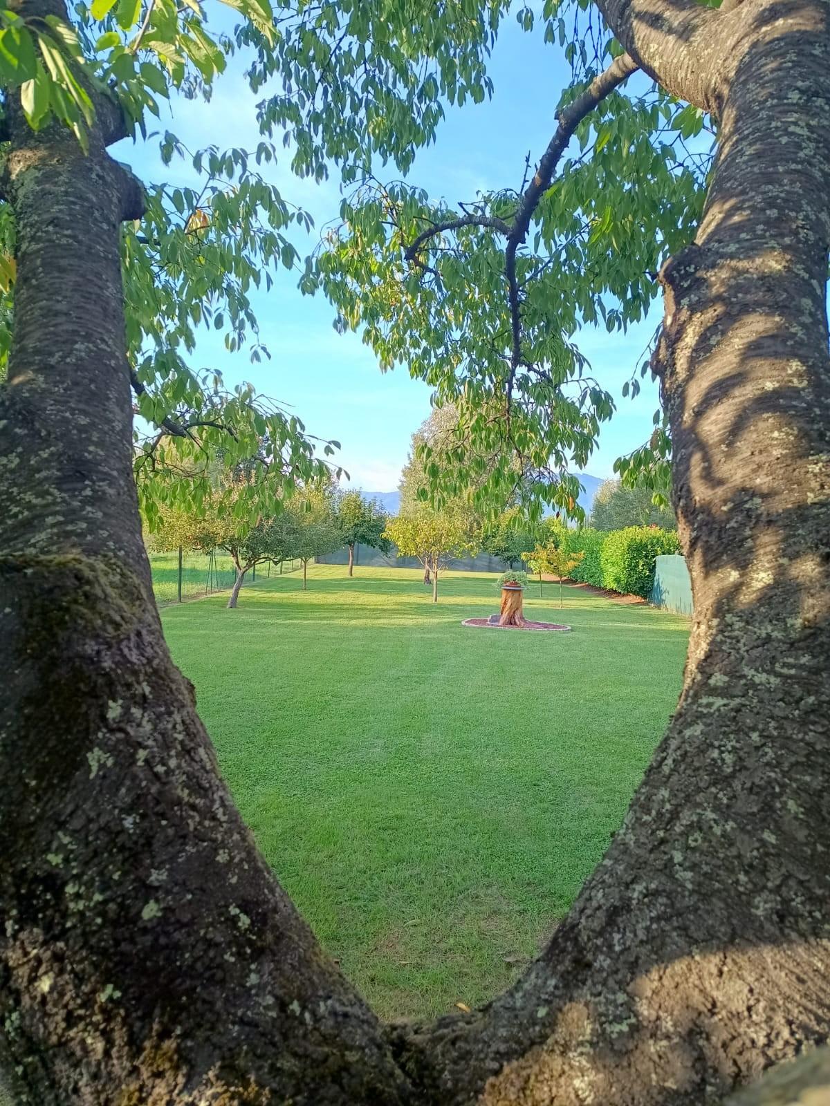 Immagine 28 di Villa in vendita  a Capannori