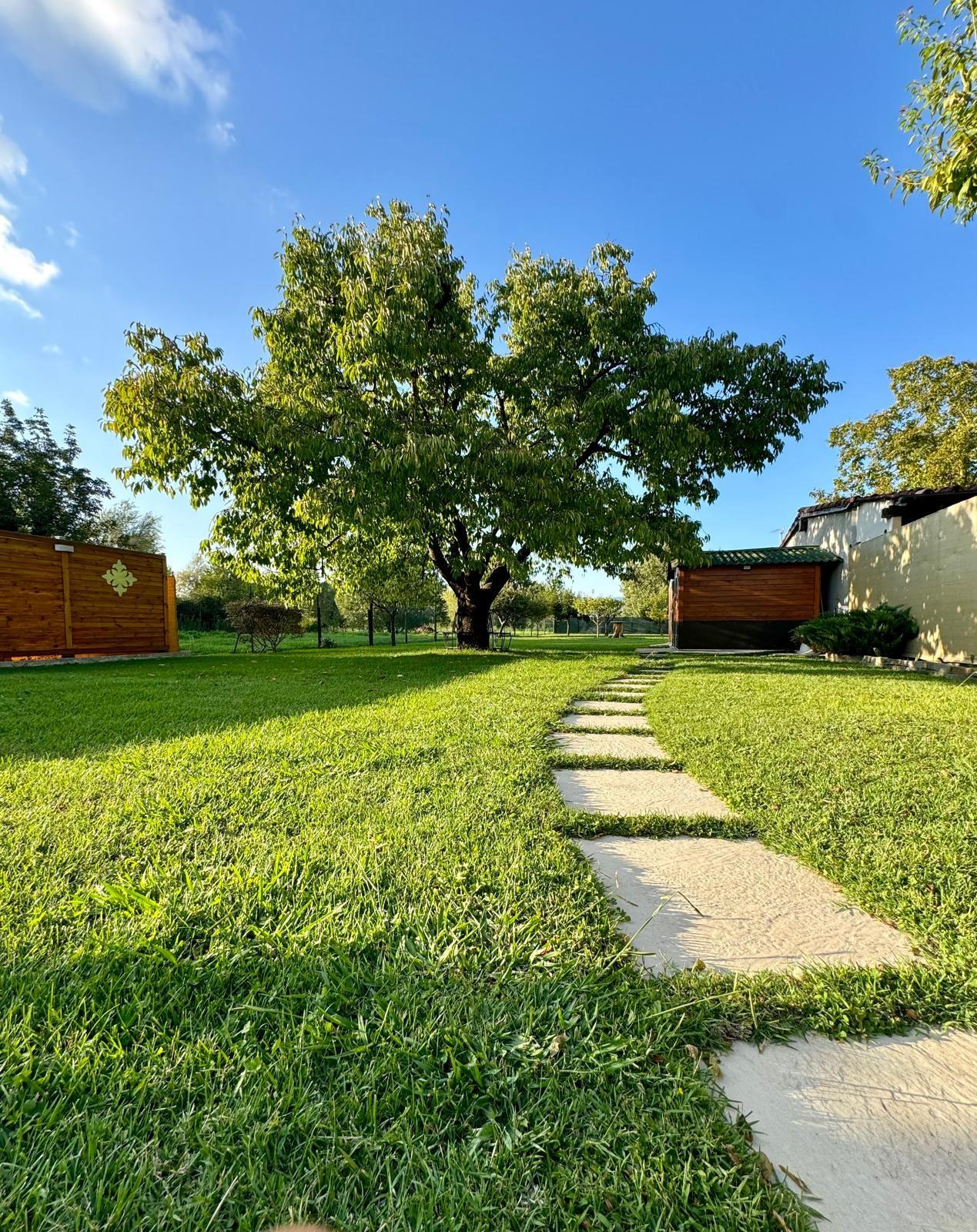 Immagine 49 di Villa in vendita  a Capannori