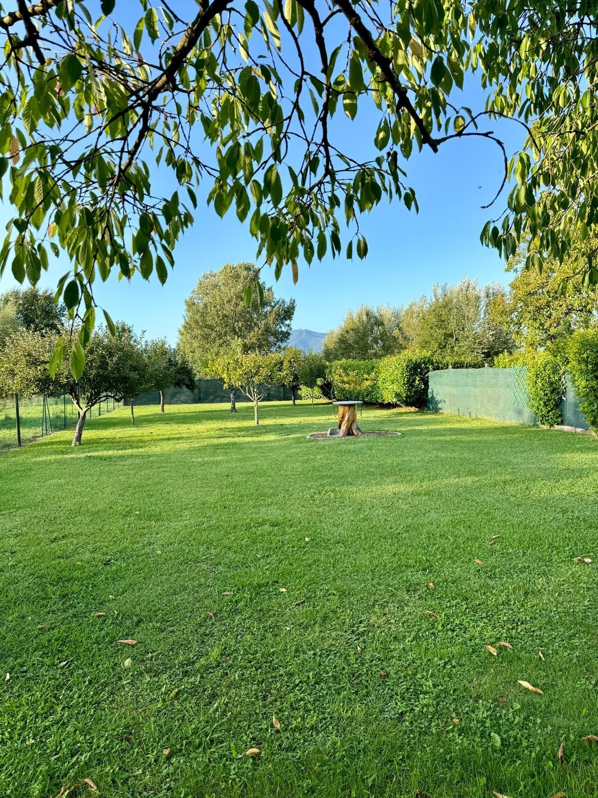 Immagine 51 di Villa in vendita  a Capannori