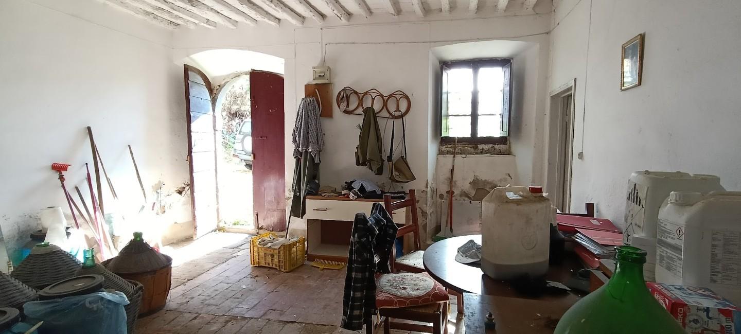 Foto annuncio 10