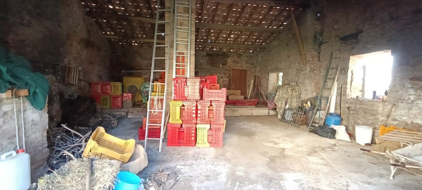 Foto annuncio 29