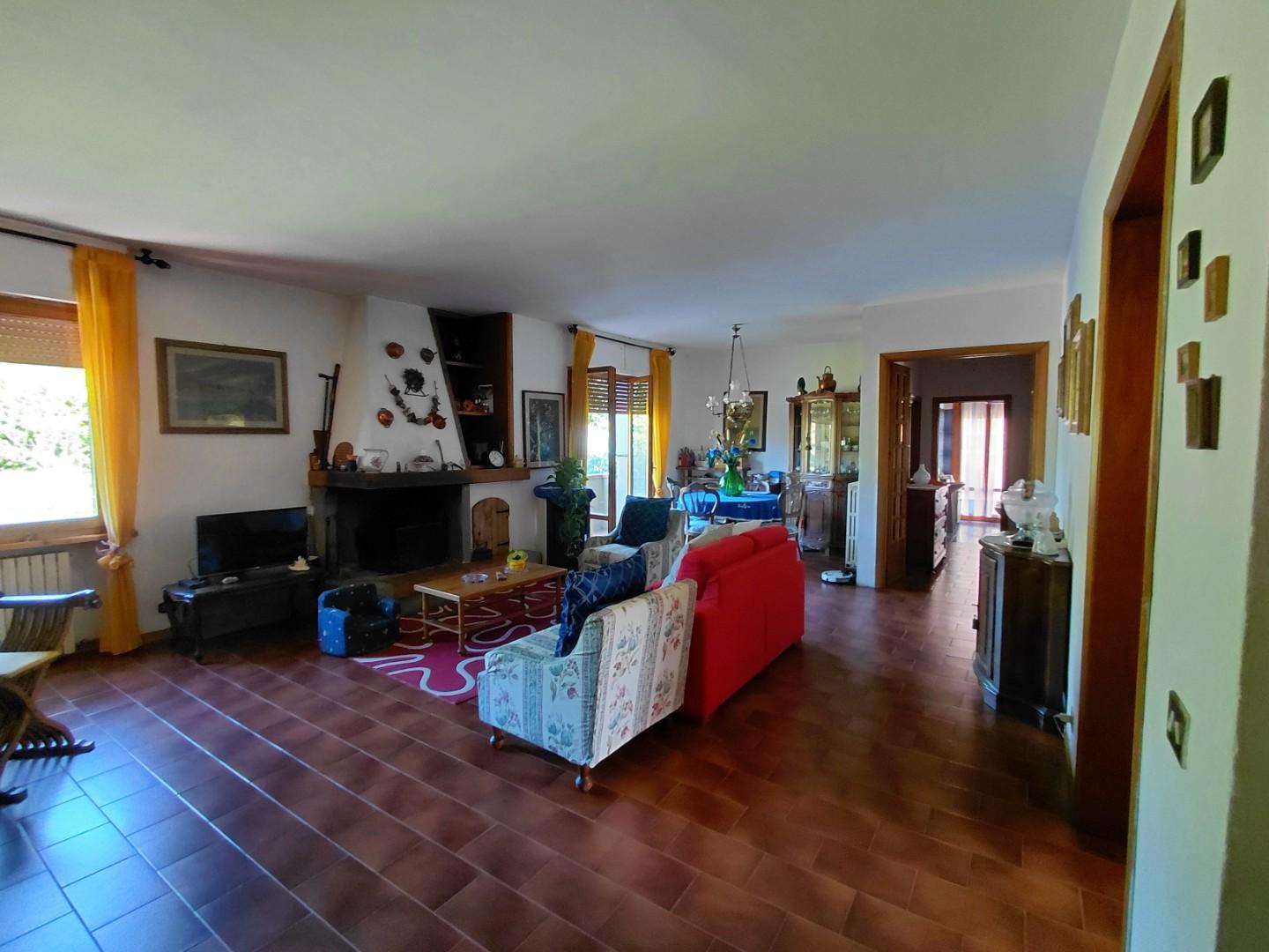Foto annuncio 7