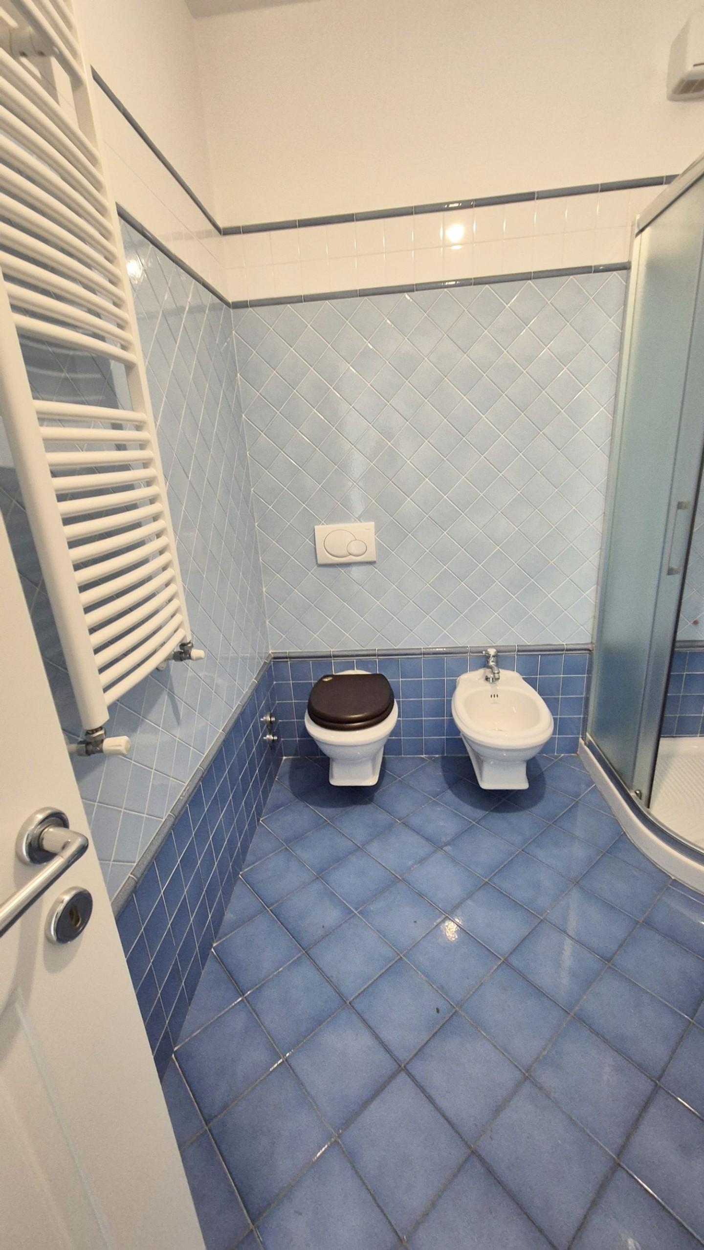 Immagine 76 di Villa in vendita  a Camaiore