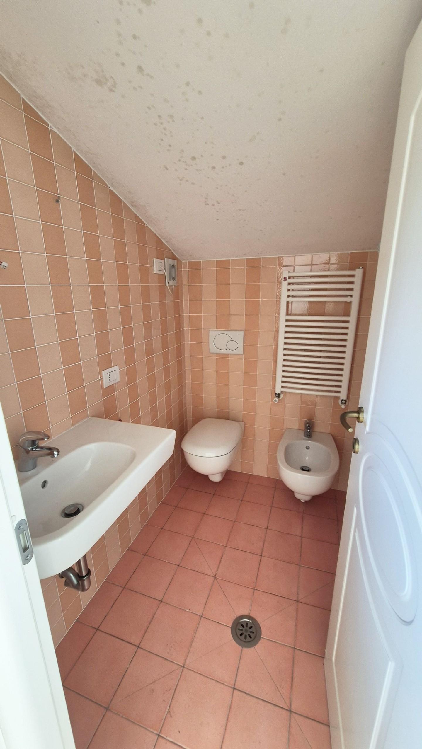 Immagine 109 di Villa in vendita  a Camaiore