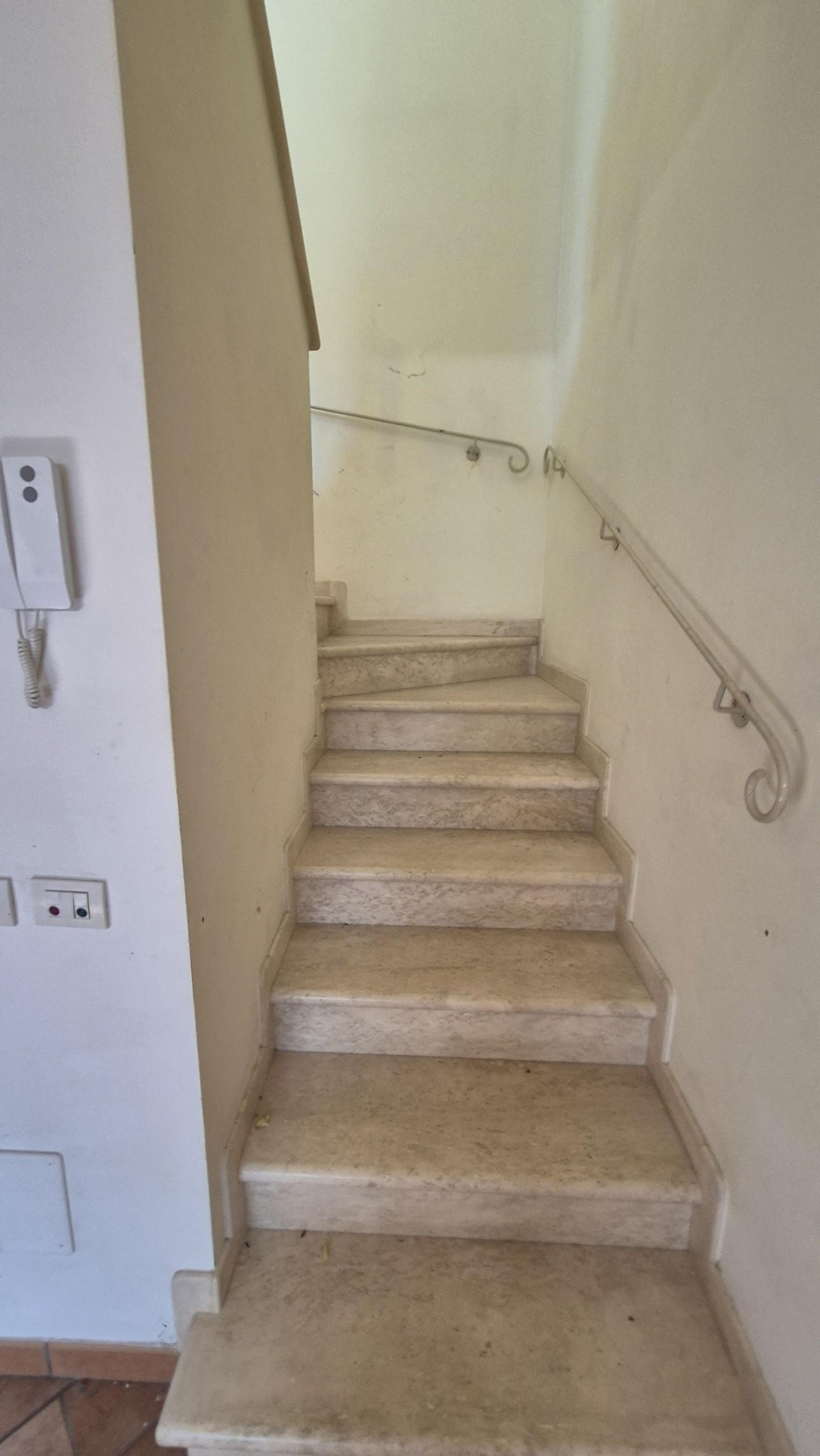 Immagine 127 di Villa in vendita  a Camaiore