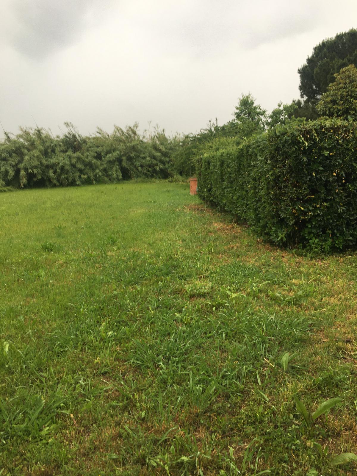 Immagine 47 di Casa bifamiliare in vendita  a Pisa
