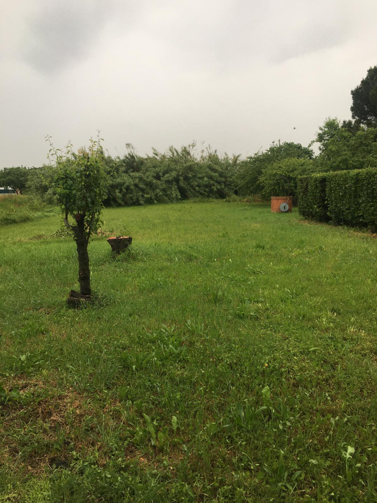 Immagine 48 di Casa bifamiliare in vendita  a Pisa