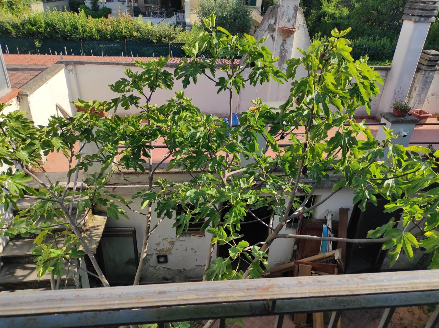 Foto annuncio 32